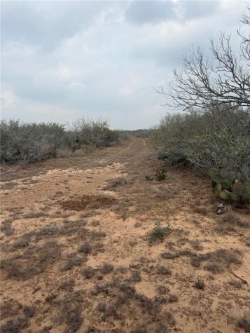 00 Fm 1329 San Diego TX 78384