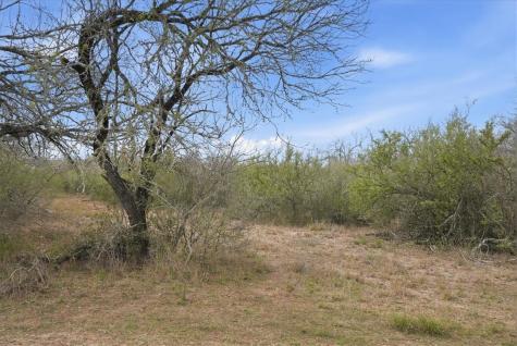 817 County Road 119 Alice TX 78332