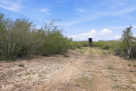 817 County Road 119 Alice TX 78332