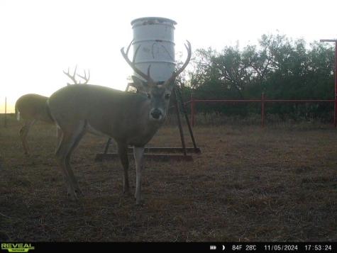 953 Fm-799 George West TX 78022