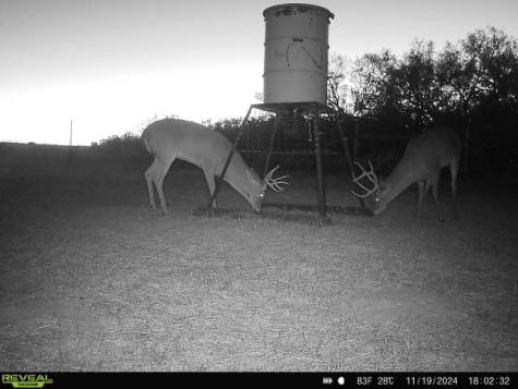 953 Fm-799 George West TX 78022