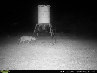 953 Fm-799 George West TX 78022