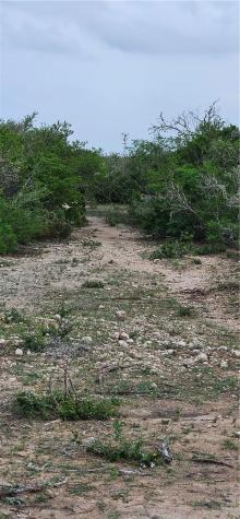 0 County Road 103 San Diego TX 78384