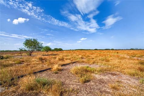 1389 W Fm 2044 Alice TX 78332