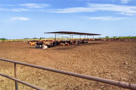 1389 W Fm 2044 Alice TX 78332