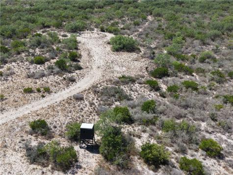 33 Acres Freer TX 78357