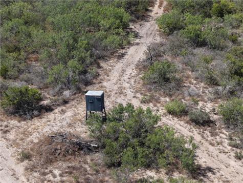 33 Acres Freer TX 78357