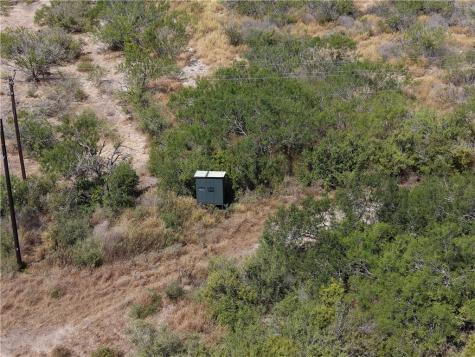 33 Acres Freer TX 78357