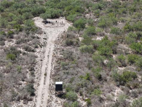 33 Acres Freer TX 78357