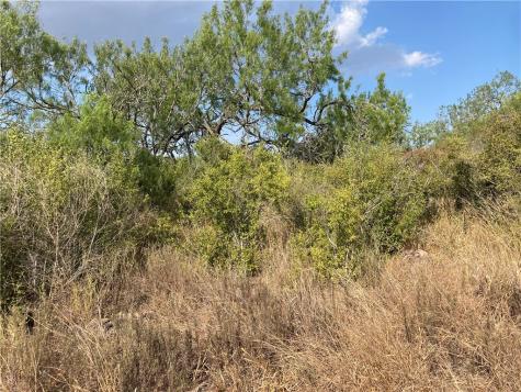 158 Cr 117 San Diego TX 78384