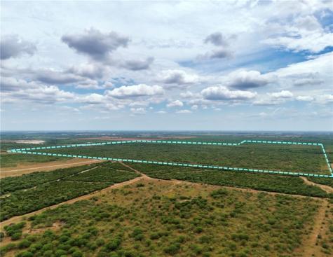 Cr 119 Alice TX 78332