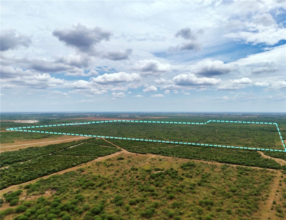 Cr 119 Alice TX 78332