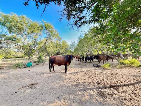 Cr 119 Alice TX 78332