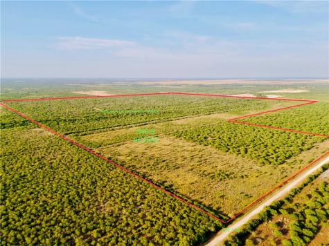 Cr 119 Alice TX 78332