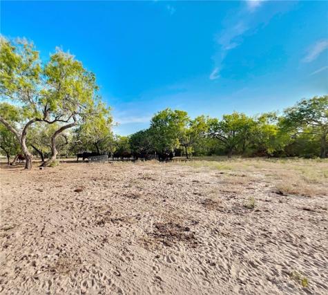 Cr 119 Alice TX 78332