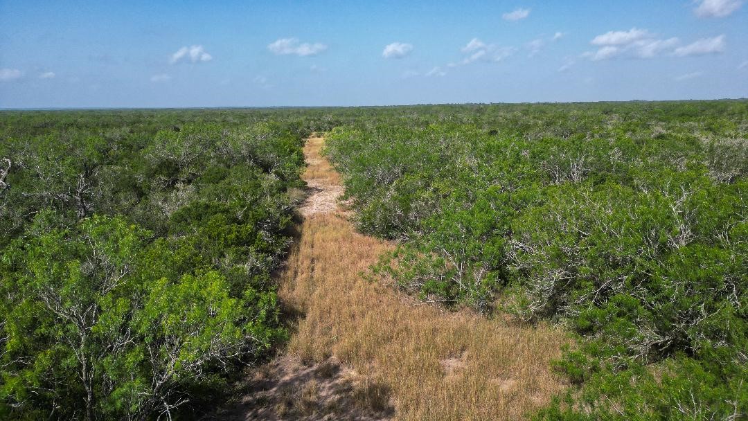Tbd Fm 624 George West TX 78022
