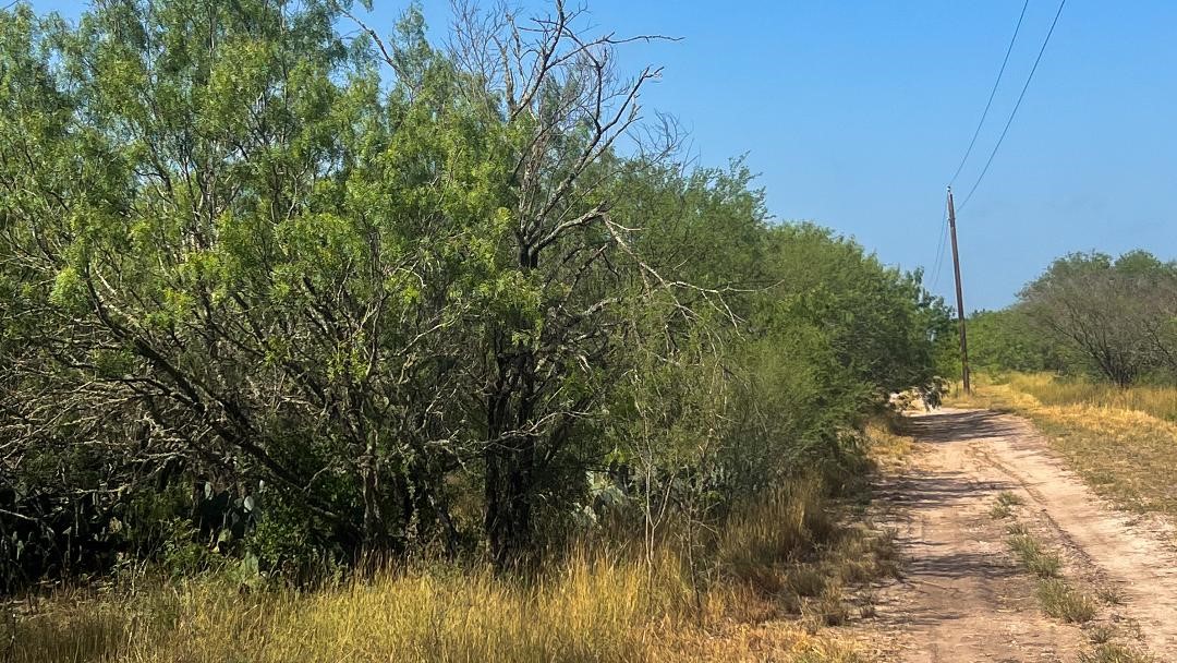 Tbd Fm 624 George West TX 78022