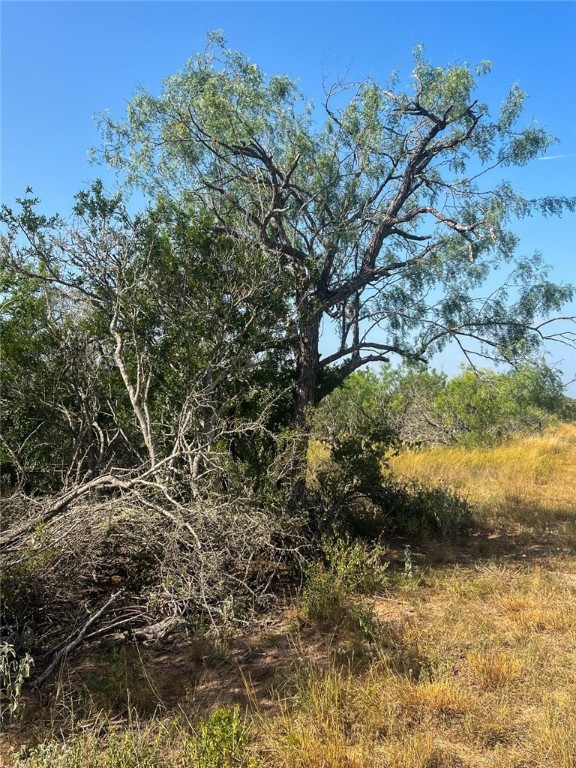 Tbd Fm 624 George West TX 78022