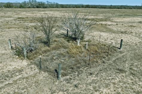 2104 Cr 440 Alice TX 78332