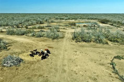 2104 Cr 440 Alice TX 78332
