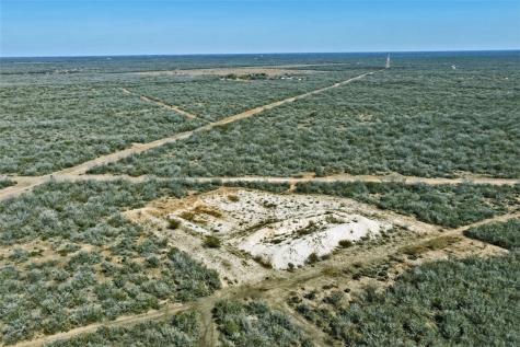 2104 Cr 440 Alice TX 78332