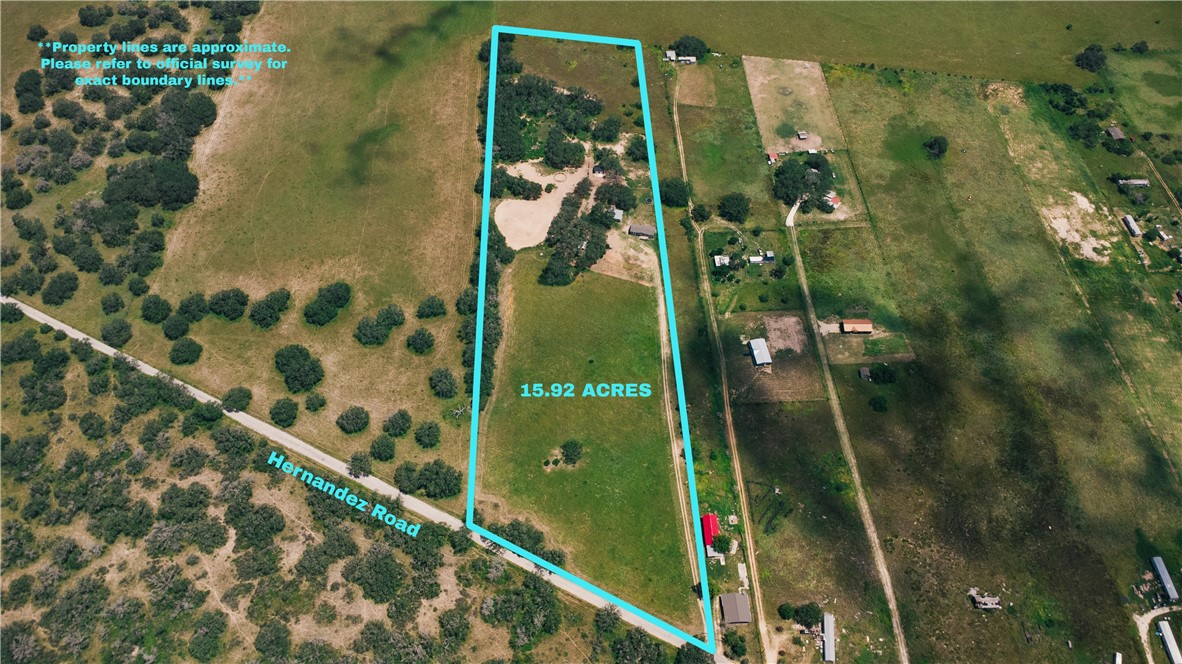 490 Hernandez Road Poteet TX 78065