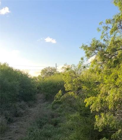 4630 S Highway 77 Highway Kingsville TX 78363