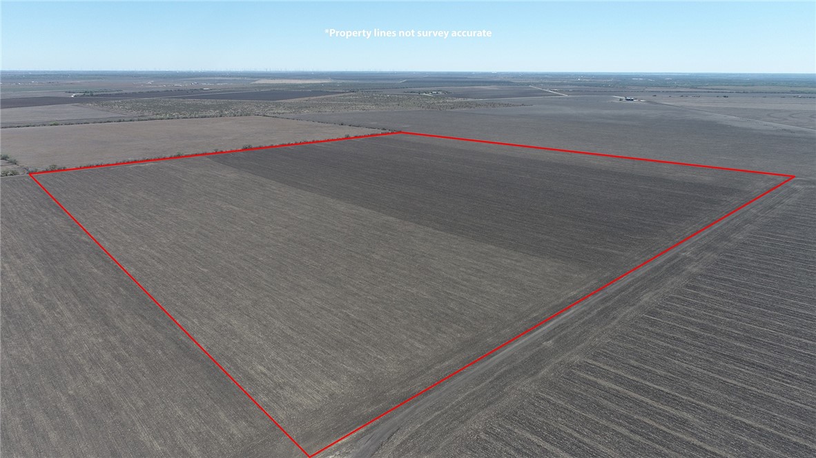 Off County Road 333 Beeville TX 78102