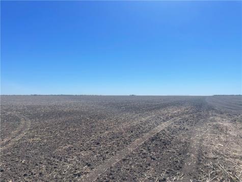 Off County Road 333 Beeville TX 78102
