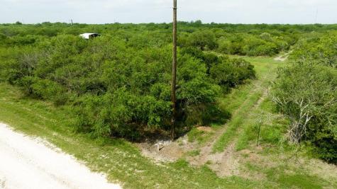 Tbd Pr 5015 Corrigan Road Skidmore TX 78389