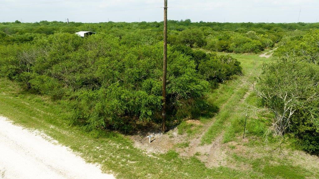 Tbd Pr 5015 Corrigan Road Skidmore TX 78389