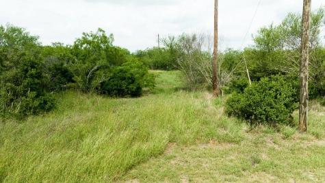 Tbd Pr 5015 Corrigan Road Skidmore TX 78389