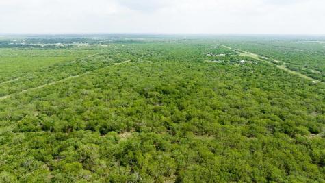 Tbd Pr 5015 Corrigan Road Skidmore TX 78389