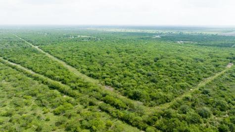 Tbd Pr 5015 Corrigan Road Skidmore TX 78389