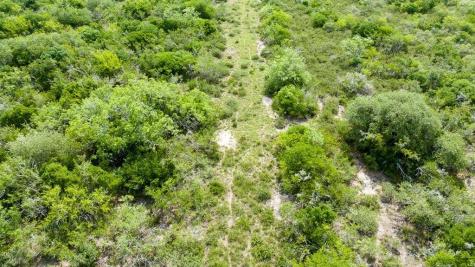 Tbd Pr 5015 Corrigan Road Skidmore TX 78389