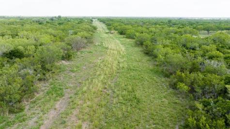 Tbd Pr 5015 Corrigan Road Skidmore TX 78389