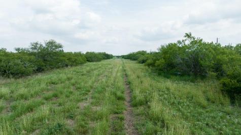 Tbd Pr 5015 Corrigan Road Skidmore TX 78389
