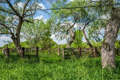 3900 Fm-2191 Falfurrias TX 78355