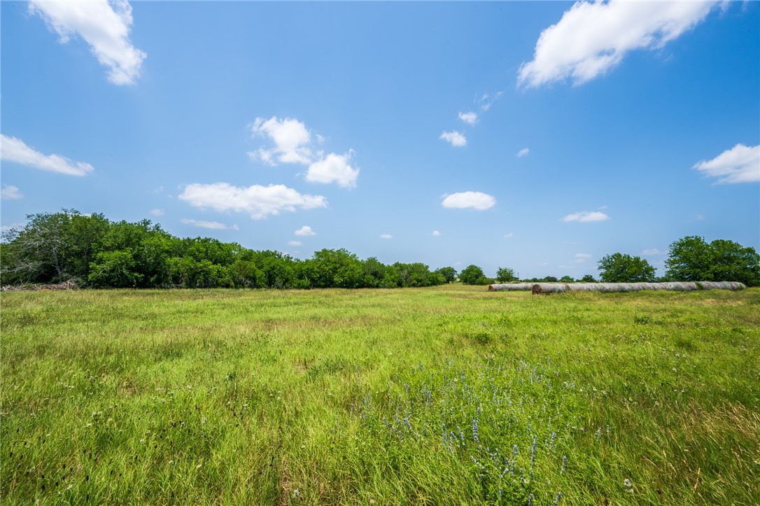 3407 Fm 743 Kenedy TX 78119
