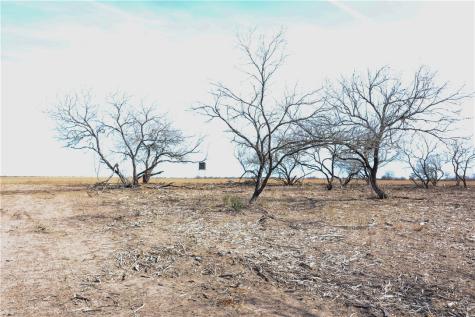 0 County Road 441 (CR 439) Alice TX 78332