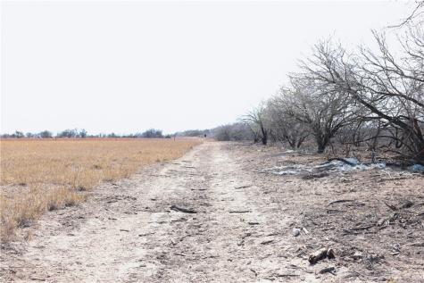 0 County Road 441 (CR 439) Alice TX 78332