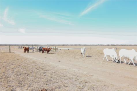 0 County Road 441 (CR 439) Alice TX 78332