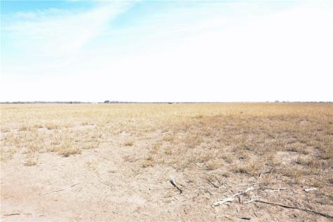 0 County Road 441 (CR 439) Alice TX 78332