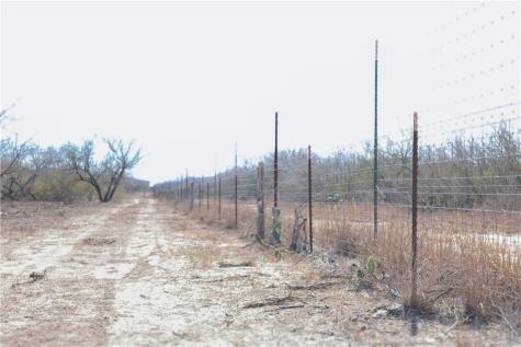 0 County Road 441 (CR 439) Alice TX 78332