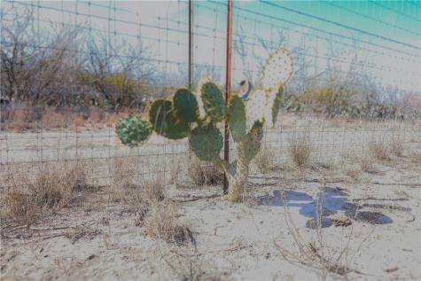0 County Road 441 (CR 439) Alice TX 78332