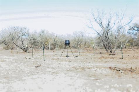 0 County Road 441 (CR 439) Alice TX 78332