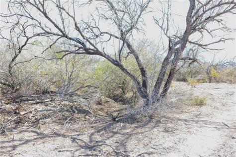 0 County Road 441 (CR 439) Alice TX 78332