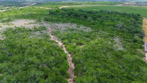 00 Fm 534 & N Fm 738 Orange Grove TX 78372