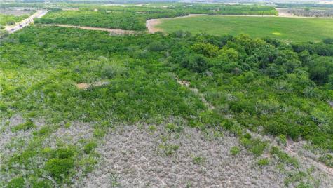 00 Fm 534 & N Fm 738 Orange Grove TX 78372