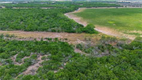 00 Fm 534 & N Fm 738 Orange Grove TX 78372